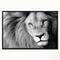 Designart - Lion Head in Grey - Animal Canvas Art Print in Black Frame